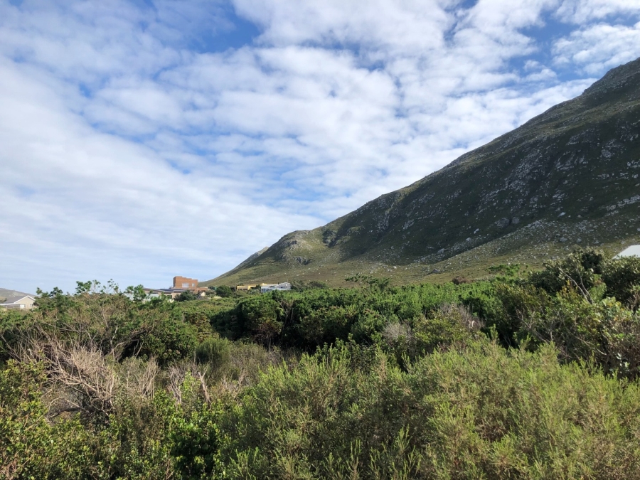 0 Bedroom Property for Sale in Bettys Bay Western Cape